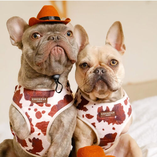 The French Bulldog Travel Spray