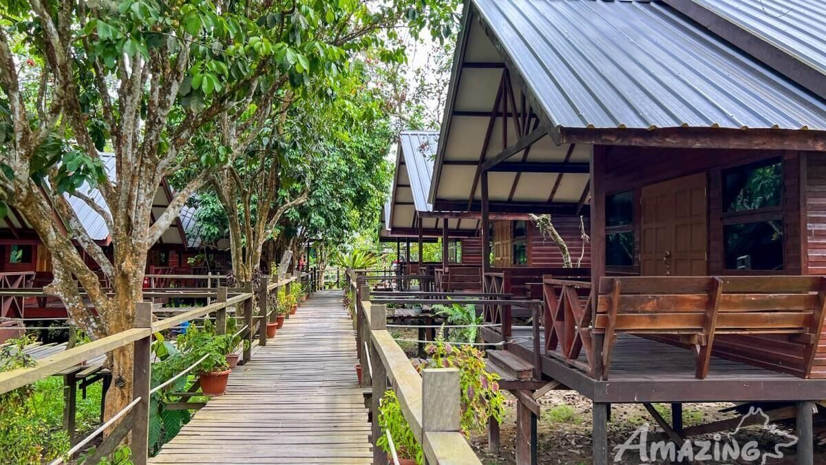 My Nature Resort - Sepilok