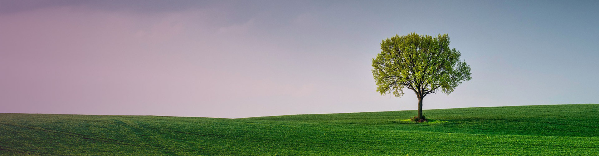 Prices & Standards | Leigh Skelding Counselling  | Neurodivergent counsellor Hertfordshire | Autism &amp; ADHD therapy Stotfold | Children's Therapy Baldock