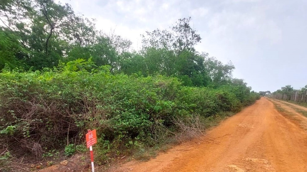 விடுவிக்கப்பட்ட காணிகளுக்குள் பொதுமக்கள் பிரவேசிக்க தற்காலிக தடை