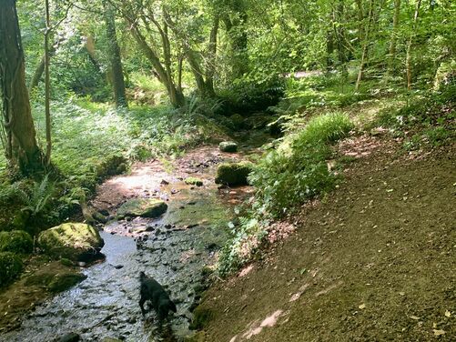 A Weekend of Pilgrimage Part 1 - The Eden Way, Devon