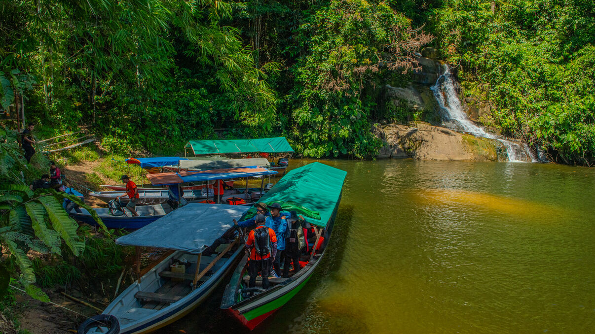 Sarawak (Borneo)