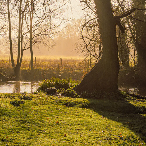 Little Tolpitts Lane, Watford WD18 9QG