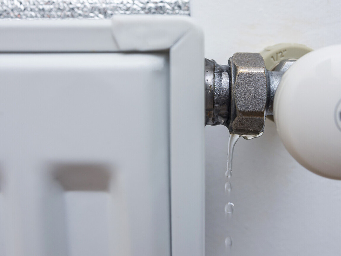 Rory’s Water Rescue  | Damp survey specialist Glasgow  | Emergency leak response Edinburgh | Leak detection Lanarkshire