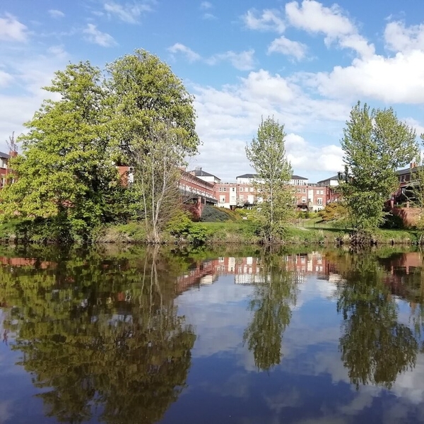 ON THE BRIGHT SIDE FEBRUARY 2026