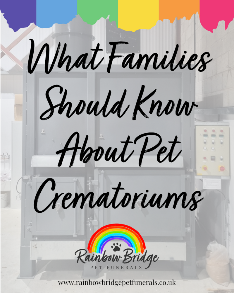 What Families Should Know About Pet Crematoriums |