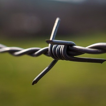 Can you assist with legal boundary disputes through your surveying services?