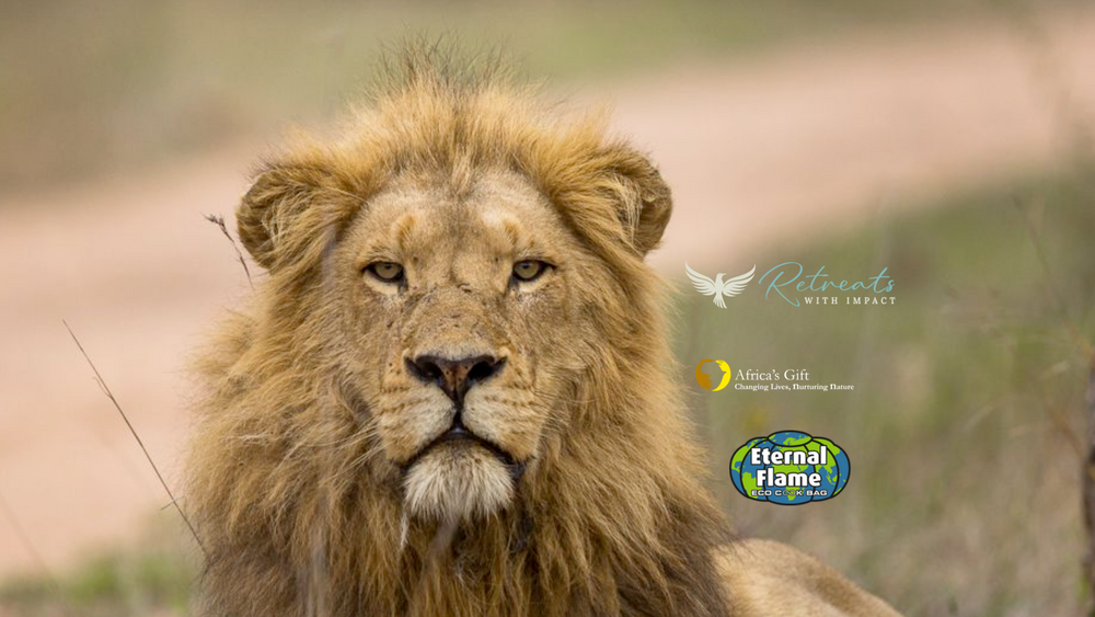 South Africa & Lesotho Philanthropy Retreat