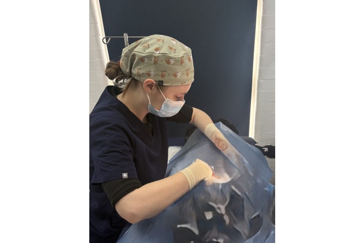 Surgery | Rose Valley Vets