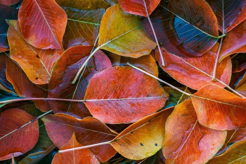 Why Healing in Connection Matters: The Power of a Trauma Therapy Retreat