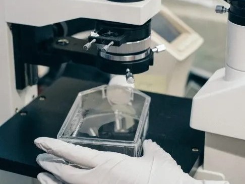 GS Verde Group advises Clinical Innovations on its cross border acquisition