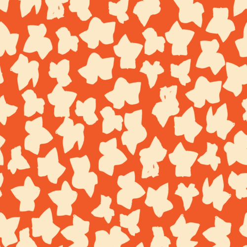 Orange and cream Ivy