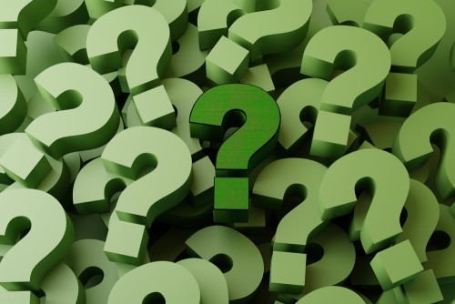 Trusting The Middle Man – The Impact and Efficiency of an Ombudsman