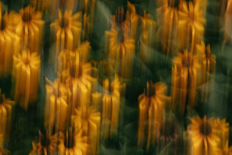 How we use CBT at Taproot Psychology 