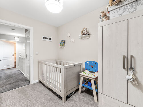 Lapwing Place, Alloa, FK10 1SJ