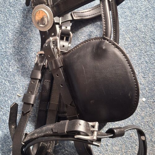 Driving Bridle - Classic Cob *Secondhand*