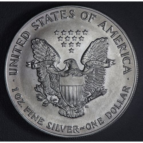 1993 1 ounce silver Eagle