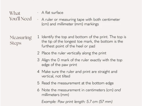Personalised Chalk Candle Holder