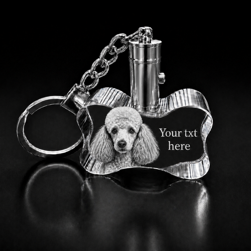 XXXL 3D Crystal Dog Bone LED Photo Keyring