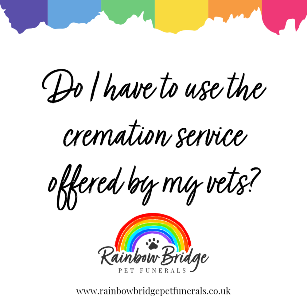 Do I Have to Use the Cremation Service Offered by My Vets? | Rainbow Bridge Pet Funeral Services