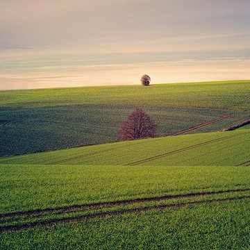 What Does Site Engineering Services Include?