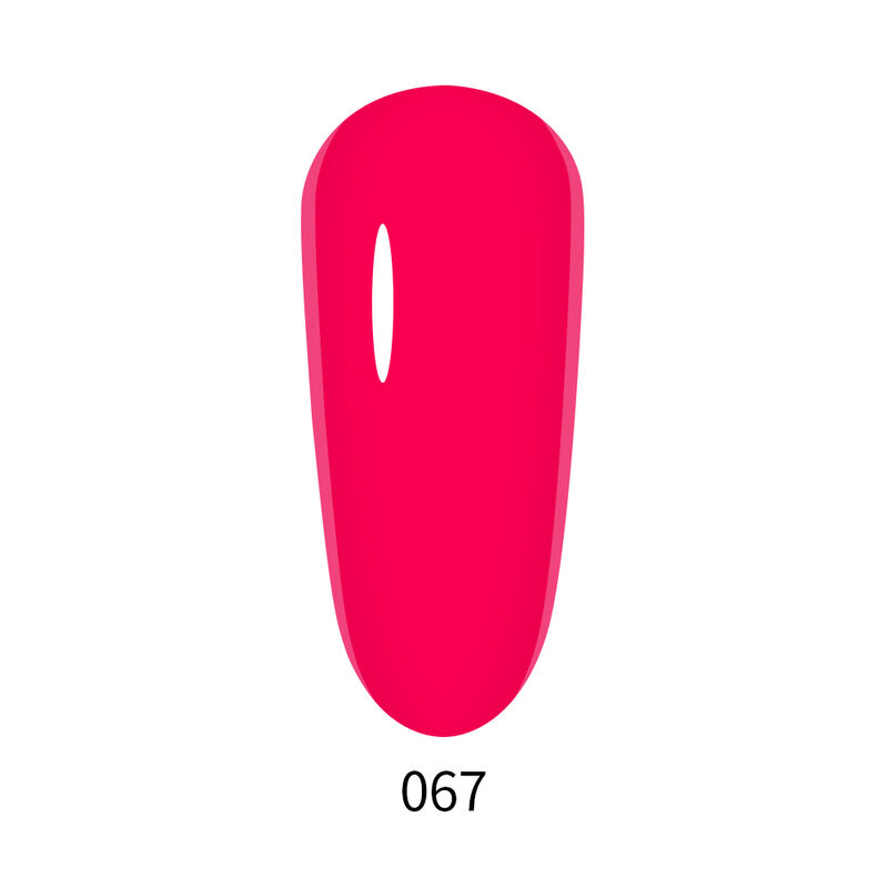 Flamingo - 067