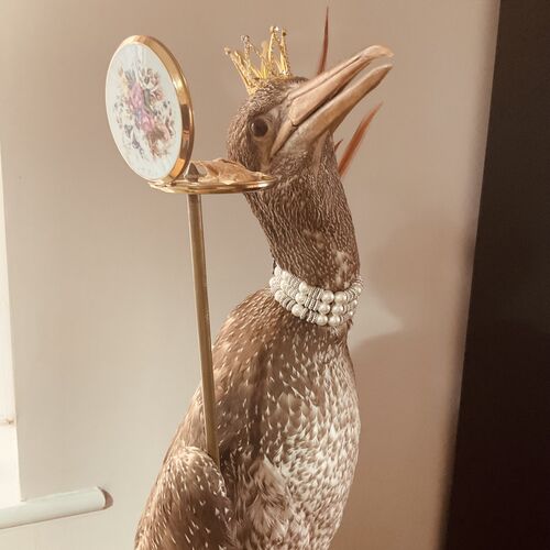 Large Taxidermy Cormorant