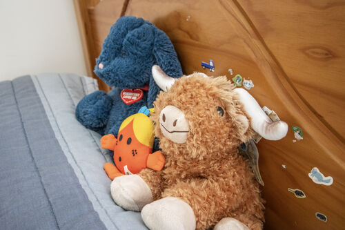 Downs Avenue, Eastbourne