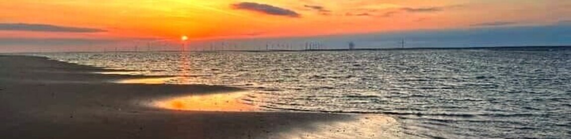 Good Citizen Dog Training