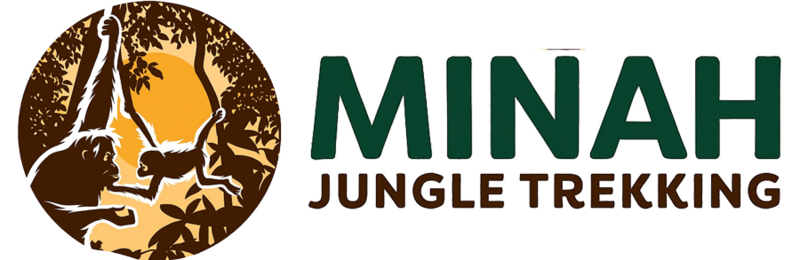 Minah Jungle Trek | Orangutan Treks | Jungle Treks | Jungle Treks Sumatra