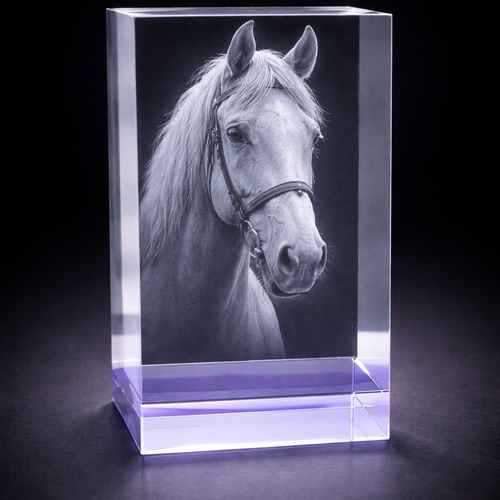Duloch 3D Crystal Block – Lilac Base 150×80×80mm
