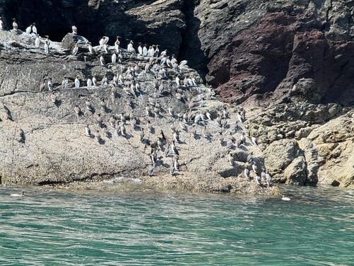 FULL - Llŷn Peninsula, North Wales 2026 - FULL