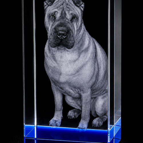 Pet 3D Crystal Gifts | 3d Crystal Shop | 3d crystal glass engraving | Personalised 3d engraving  | 3d crystal photo