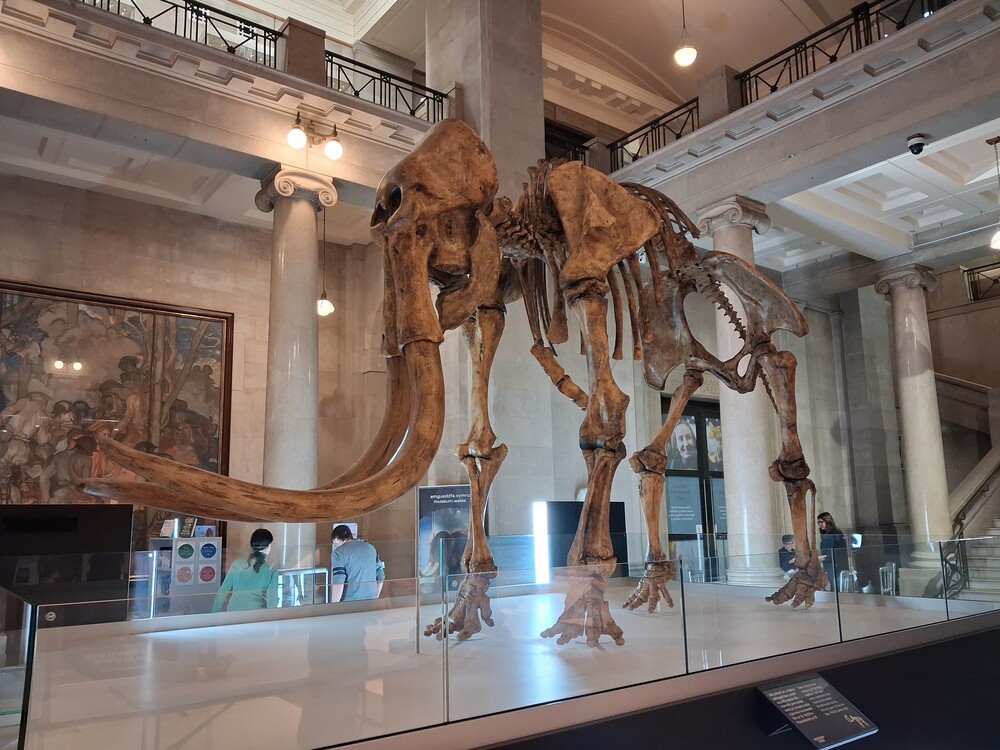 Museum After Dark - Science on Show - National Museum Cardiff