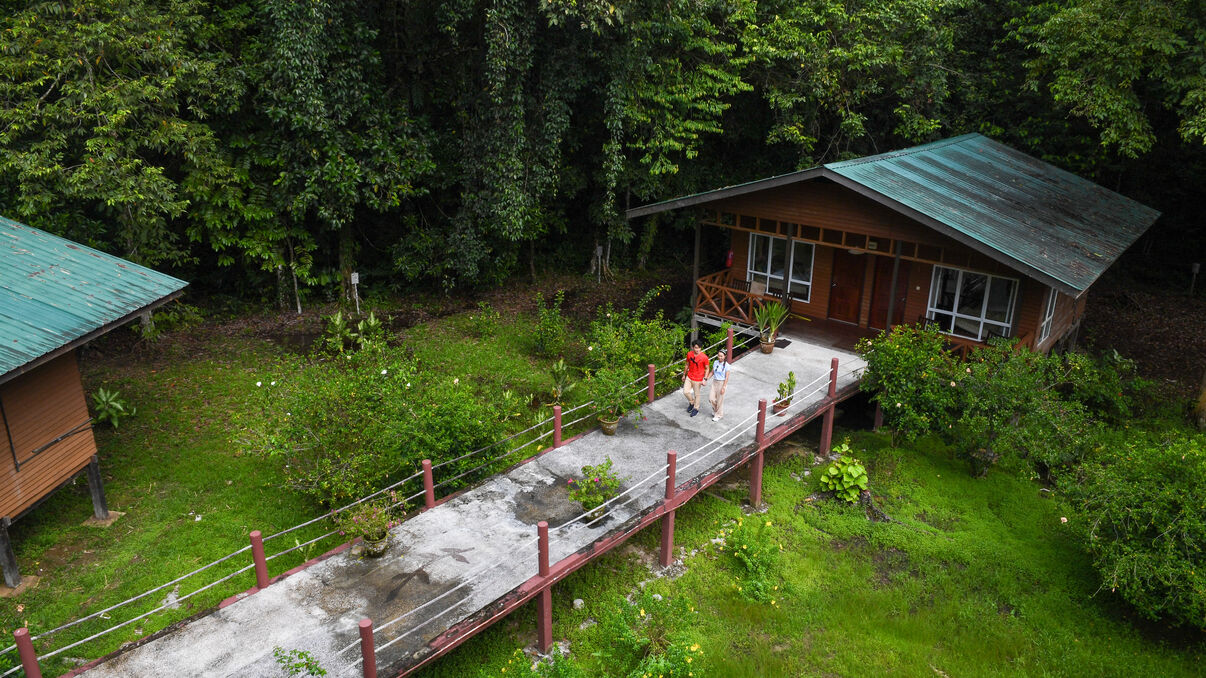Rainforest Lodge - River Cruise & Nature Walks