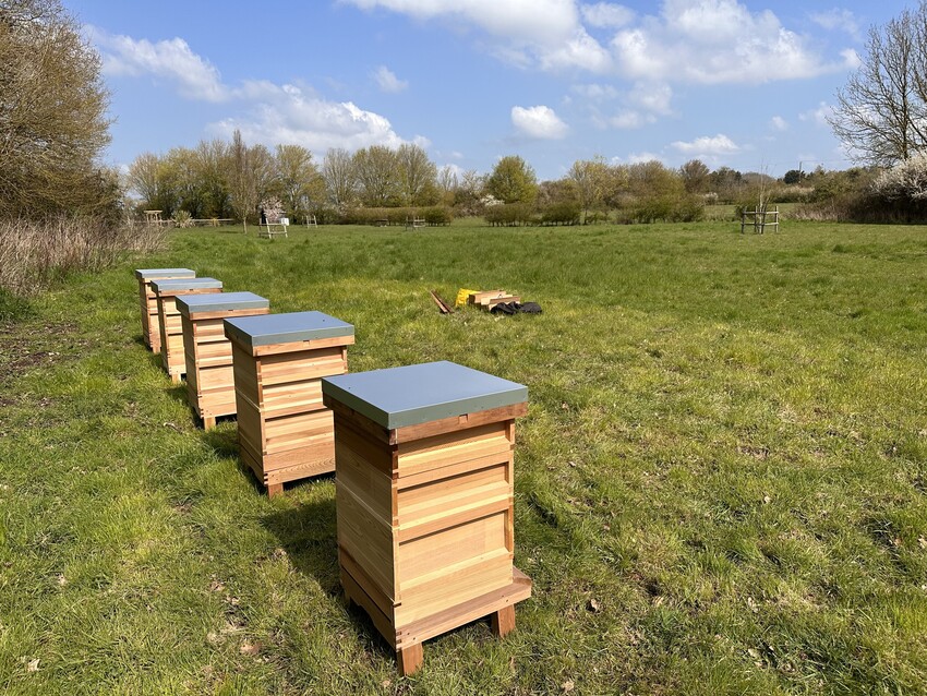 Hives we use