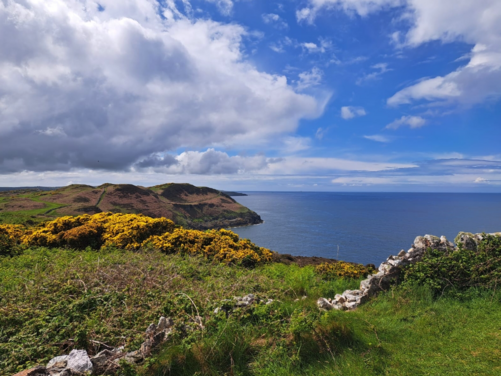 FULL - Isle of Anglesey, Wales 2026 - FULL