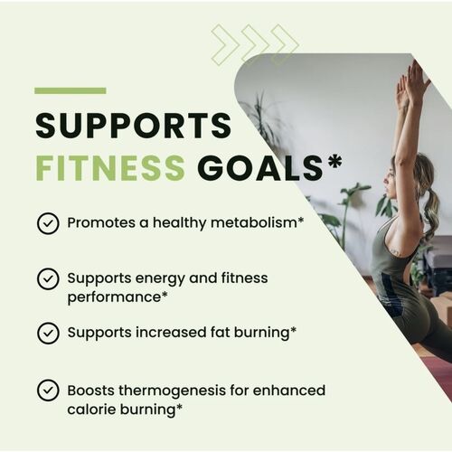 Nobi Nutrition Premium Green Tea Extract Fat Burner - 120 Capsules