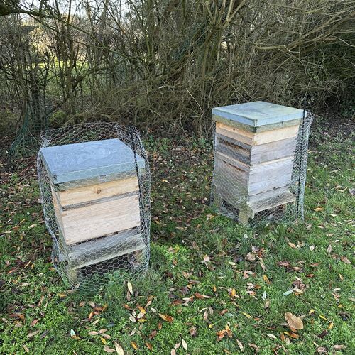 Gallery | East Anglia Apiaries | Raw honey | Local honey | Natural Honey