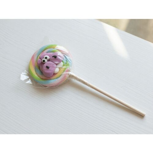 Jungle Animals Lolly ‘Naturlolly’ 60g