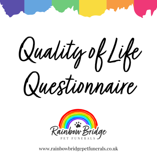 Supporting Your Pet’s Final Chapter: Try Our Pet Quality of Life Questionnaire