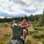 Putna monastery, the Beech woods of South Bucovina and new guests