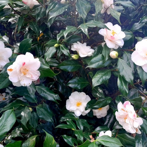 Hampton to Kingston, Wednesday 4th March