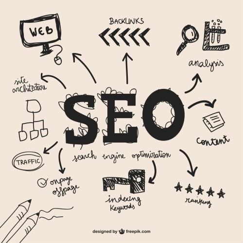 Why SEO is Essential for Long-Term Business Growth | Wilkins Marketing