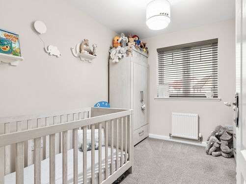 Lapwing Place, Alloa, FK10 1SJ