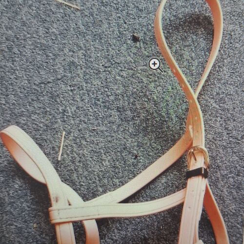 Underhalter - Pony