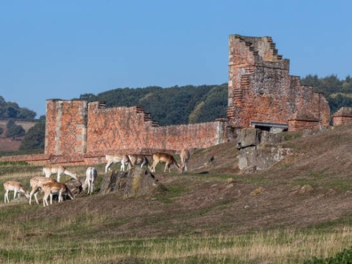 "Charnwood Forest Villages: Reflecting on 2024 and Embracing New Opportunities with Shepherd and White"
