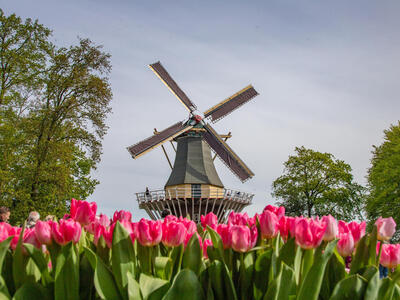Cruise Holidays | Cavendish Cruises