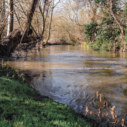 Little Tolpitts Lane, Watford WD18 9QG
