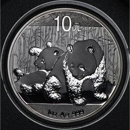 2010 silver panda 1oz bullion coin